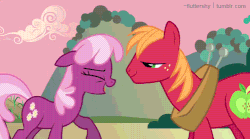 Size: 499x278 | Tagged: safe, screencap, big macintosh, cheerilee, earth pony, pony, g4, hearts and hooves day (episode), animated, gif, hearts and hooves day, male, stallion, tumblr