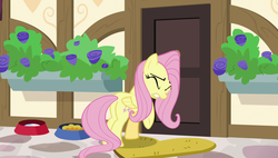 Size: 1920x1090 | Tagged: safe, screencap, fluttershy, pony, fluttershy leans in, g4, female, mare, solo