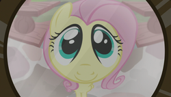 Size: 1920x1090 | Tagged: safe, screencap, fluttershy, pegasus, pony, fluttershy leans in, g4, cute, female, fisheye lens, looking at you, mare, peephole, shyabetes, smiling, solo