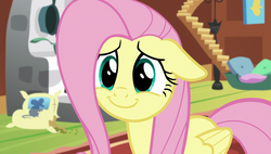 Size: 1920x1090 | Tagged: safe, screencap, fluttershy, pegasus, pony, fluttershy leans in, g4, adorable face, cute, female, fluttershy's cottage, folded wings, shyabetes, solo, wings
