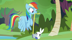 Size: 1920x1090 | Tagged: safe, screencap, angel bunny, rainbow dash, pony, fluttershy leans in, g4, measuring tape