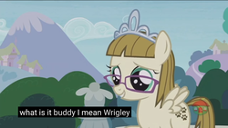 Size: 2560x1440 | Tagged: safe, screencap, zippoorwhill, pony, forever filly, g4, female, glasses, jewelry, meme, solo, tiara, youtube caption