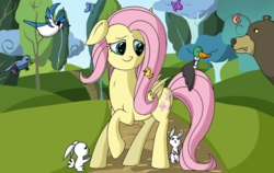 Size: 1427x900 | Tagged: safe, artist:zsparkonequus, fluttershy, bear, bird, butterfly, duck, mallard, pegasus, pony, rabbit, g4, animal, duckling, female, grass, male, mare, scenery, smiling, tree