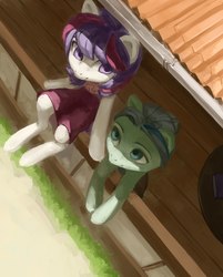 Size: 1737x2160 | Tagged: safe, artist:aphphphphp, oc, oc only, earth pony, pegasus, pony, clothes, duo, female, high angle, looking at each other, mare, perspective, sitting