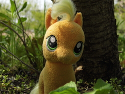 Size: 4608x3456 | Tagged: safe, artist:mfg637, applejack, earth pony, pony, g4, female, high res, irl, mare, nature, photo, plushie, solo, toy