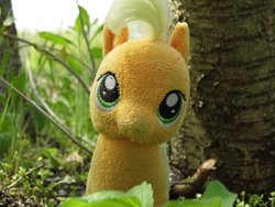 Size: 4608x3456 | Tagged: safe, artist:mfg637, applejack, earth pony, pony, g4, cute, female, high res, irl, looking at you, mare, nature, photo, plushie, solo, toy