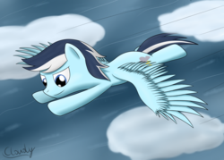 Size: 2800x2000 | Tagged: safe, artist:cloudy95, oc, oc only, pegasus, pony, flying, high res, male, solo, stallion