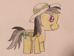 Size: 3264x2448 | Tagged: safe, artist:smurfettyblue, daring do, pony, g4, female, hat, high res, solo, traditional art