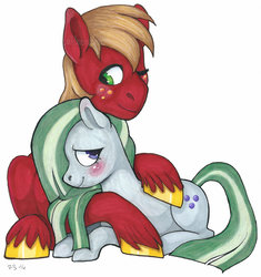 Size: 1600x1702 | Tagged: safe, artist:whisperseas, big macintosh, marble pie, earth pony, pony, g4, blushing, cuddling, male, one eye closed, ship:marblemac, shipping, simple background, stallion, straight, traditional art, unshorn fetlocks, white background