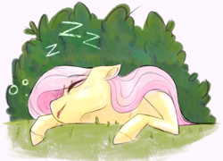 Size: 2231x1609 | Tagged: safe, artist:yomitai, fluttershy, pony, g4, bust, eyes closed, female, nap, open mouth, prone, sleeping, solo, zzz