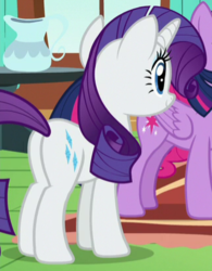 Size: 322x413 | Tagged: safe, screencap, rarity, twilight sparkle, alicorn, pony, fluttershy leans in, g4, butt, cropped, female, mare, plot, twilight sparkle (alicorn)