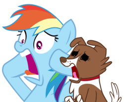 Size: 1240x1024 | Tagged: safe, edit, rainbow dash, winona, g4, faic, screaming, shocked, simple background, transparent background, vector, wat