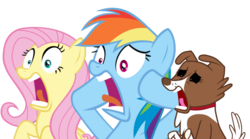 Size: 1840x1024 | Tagged: safe, edit, fluttershy, rainbow dash, winona, g4, faic, screaming, shocked, simple background, transparent background, vector, wat