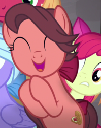 Size: 411x517 | Tagged: safe, screencap, apple bloom, big macintosh, fond feather, swoon song, earth pony, pony, g4, hard to say anything, cropped, happy