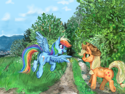 Size: 1600x1200 | Tagged: safe, artist:gingerady, applejack, rainbow dash, earth pony, pegasus, pony, g4, eye contact, flying, looking at each other, path, scenery, trail, tree, underhoof
