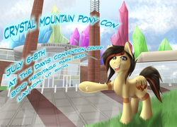 Size: 2500x1800 | Tagged: safe, artist:shilohsmilodon, oc, oc only, oc:salt lick, pony, banner, convention, crystal mountain pony con, poster, salt flats, solo