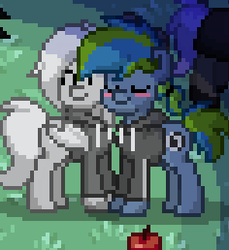 Size: 236x258 | Tagged: safe, oc, oc only, oc:blind, oc:grayskape, pony, pony town