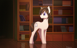 Size: 2560x1600 | Tagged: safe, artist:rublegun, oc, oc only, earth pony, pony, book, bookshelf, commission, male, smiling, solo, stallion