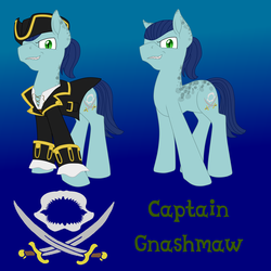 Size: 4000x4000 | Tagged: safe, artist:glacierfrostclaw, oc, oc only, oc:captain gnashmaw, kelpie, pony, shark, clothes, hat, male, pirate, reference sheet, stallion, sword, weapon