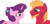 Size: 1024x488 | Tagged: safe, artist:ipandacakes, big macintosh, sugar belle, earth pony, pony, g4, older, simple background, story in the source, transparent background