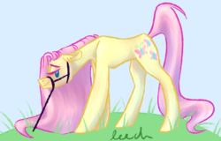 Size: 4728x3032 | Tagged: safe, artist:leech, fluttershy, earth pony, pony, g4, bedroom eyes, blushing, female, floppy ears, grass, halter, high res, race swap, raised tail, reins, solo, tack, tail, wingless