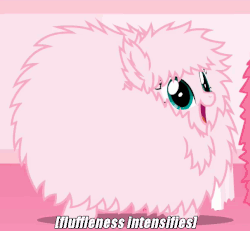 Size: 606x561 | Tagged: safe, artist:mixermike622, oc, oc only, oc:fluffle puff, earth pony, pony, g4, animated, gif, image macro, meme, pacing, solo, x intensifies