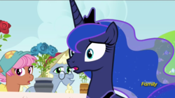 Size: 1920x1080 | Tagged: safe, screencap, princess luna, pony, a royal problem, g4, background pony, discovery family logo, elderly, female, flower, huh, male, mare, shocked, stallion, unnamed character, unnamed pony
