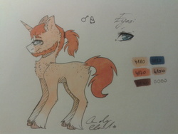 Size: 2560x1920 | Tagged: safe, artist:pinkcloudhugger, oc, oc only, oc:mckeypl, pony, unicorn, beard, facial hair, reference sheet, solo, traditional art, unshorn fetlocks