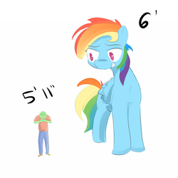 Size: 1100x1100 | Tagged: safe, artist:askcanadash, rainbow dash, oc, oc:anon, human, pegasus, pony, g4, /fit/, 5'11" vs 6'0", blatant lies, giant pony, grin, macro, manlet, meme, mog, simple background, size difference, smiling, white background