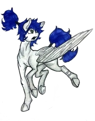 Size: 1836x2344 | Tagged: safe, artist:pantheracantus, oc, oc only, oc:ruituri nox, pony, colored, one winged pegasus, ponytail, semi-realistic, solo, traditional art