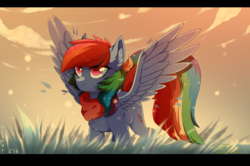Size: 1700x1130 | Tagged: safe, artist:overnut, rainbow dash, pegasus, pony, g4, clothes, female, grass, mare, solo