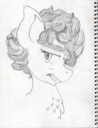 Size: 3337x4376 | Tagged: safe, artist:andandampersand, oc, oc only, pony, bust, chest fluff, ear fluff, frown, grayscale, gritted teeth, high res, lidded eyes, looking at you, monochrome, solo, traditional art