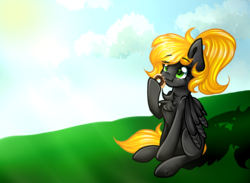 Size: 1714x1252 | Tagged: safe, artist:sketchyhowl, oc, oc only, oc:veen sundown, pegasus, pony, adorable face, blonde, chocolate, cute, donut, eating, female, field, food, grass, mare, ponytail, sitting, so cute it kills you, solo, sun, sundown clan, sunshine