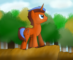 Size: 2595x2118 | Tagged: safe, artist:cloudy95, oc, oc only, oc:blood lines, pony, unicorn, high res, male, solo, stallion