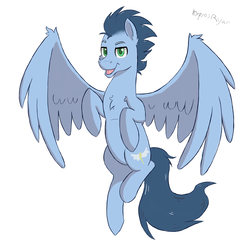 Size: 1900x1900 | Tagged: safe, artist:hypno, soarin', pony, g4, male, open mouth, simple background, solo, stallion, white background, wings