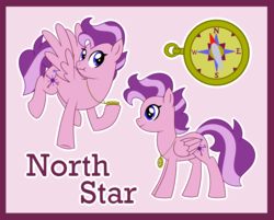 Size: 2047x1644 | Tagged: safe, artist:bakufoon, north star (g1), pony, g1, g4, compass, female, g1 to g4, generation leap, solo