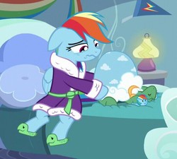 Size: 542x488 | Tagged: safe, screencap, rainbow dash, tank, pony, g4, tanks for the memories, bathrobe, clothes, cropped, dashie slippers, slippers, tank slippers
