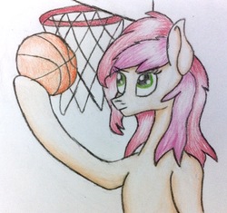 Size: 2425x2278 | Tagged: safe, artist:dragonscales28, roseluck, pony, g4, basketball, basketball net, derrick rose, female, high res, nba, pun, solo, traditional art