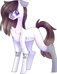 Size: 1244x1623 | Tagged: safe, artist:erinartista, oc, oc only, oc:charley, earth pony, pony, female, mare, simple background, solo, transparent background