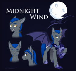 Size: 2256x2100 | Tagged: safe, artist:doekitty, oc, oc only, oc:midnight wind, bat pony, pony, armor, helmet, high res, male, moon, night guard, reference sheet, solo, stallion