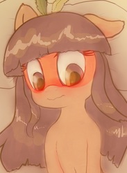 Size: 1010x1378 | Tagged: safe, artist:plotcore, oc, oc only, oc:kuruminha, pony, bangs, blushing, brazil, brchan, cropped, face paint, feather, floppy ears, mascot, native american, ponified, solo