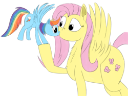 Size: 1938x1457 | Tagged: safe, artist:taurson, fluttershy, rainbow dash, pegasus, pony, g4, chest fluff, female, flying, kissing, lesbian, macro, mare, micro, ship:flutterdash, shipping, simple background, size difference, spread wings, white background, wings