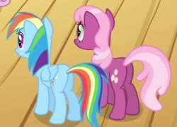 Size: 424x306 | Tagged: safe, screencap, cheerilee, rainbow dash, earth pony, pony, flight to the finish, g4, butt, cropped, duo, duo female, female, flowerbutt, mare, plot, rainbutt dash