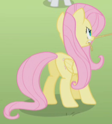 Size: 257x284 | Tagged: safe, screencap, fluttershy, rarity, pegasus, pony, g4, the return of harmony, butt, cropped, female, mare, mouth hold, plot, solo focus