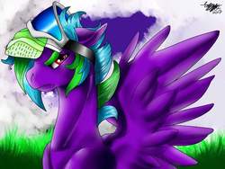 Size: 960x720 | Tagged: safe, artist:brainiac, oc, oc only, pony, commission, male, mask, solo, stallion