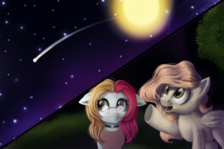 Size: 900x600 | Tagged: safe, artist:ailatf, oc, oc only, earth pony, pegasus, pony, duo, female, floppy ears, full moon, looking up, mare, moon, night, shooting star, smiling, starry night, stars