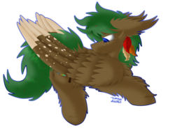 Size: 1024x768 | Tagged: safe, artist:vanillaswirl6, oc, oc only, oc:sorrel swoop, pegasus, pony, blue eyes, cheek fluff, chest fluff, colored pupils, colored wings, colored wingtips, commission, ear fluff, feather, fluffy, freckles, looking down, lying down, male, mouth hold, outline, preening, prone, signature, simple background, solo, stallion, transparent background, wing fluff