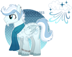 Size: 1024x806 | Tagged: safe, artist:kazziepones, oc, oc only, oc:cloud gust, pegasus, pony, clothes, male, reference sheet, scarf, simple background, solo, stallion, transparent background