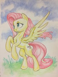 Size: 1024x1365 | Tagged: safe, artist:grokostimpy, fluttershy, pegasus, pony, g4, female, looking away, mare, rearing, smiling, solo, spread wings, traditional art, windswept mane, wings