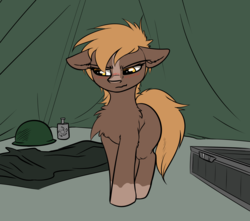 Size: 3541x3125 | Tagged: safe, artist:duop-qoub, earth pony, pony, blushing, chest fluff, ear fluff, flask, floppy ears, fluffy, helmet, high res, ponified, sergeant reckless, shoulder fluff, solo, tent, warpone